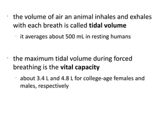 •
    the volume of air an animal inhales and exhales
    with each breath is called tidal volume
    –
        it averages about 500 mL in resting humans


•
    the maximum tidal volume during forced
    breathing is the vital capacity
    –
        about 3.4 L and 4.8 L for college-age females and
        males, respectively
 