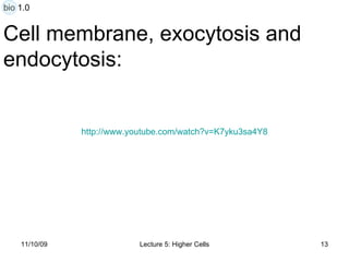Cell membrane, exocytosis and  endocytosis: http:// www.youtube.com/watch?v =K7yku3sa4Y8 bio 1.0 