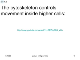 The cytoskeleton controls  movement inside higher cells: http:// www.youtube.com/watch?v = CDWoOOd_VHo bio 1.0 