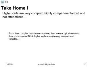 Take Home I From their complex membrane structure, their internal cytoskeleton to their chromosomal DNA, higher cells are extremely complex and versatile… Higher cells are very complex, highly compartmentalized and not streamlined… bio 1.0 