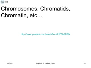 Chromosomes, Chromatids,  Chromatin, etc… http:// www.youtube.com/watch?v =s9HPNwXd9fk bio 1.0 
