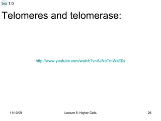 Telomeres and telomerase: http:// www.youtube.com/watch?v =AJNoTmWsE0s bio 1.0 