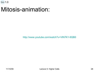 Mitosis-animation: http:// www.youtube.com/watch?v =VlN7K1-9QB0 bio 1.0 