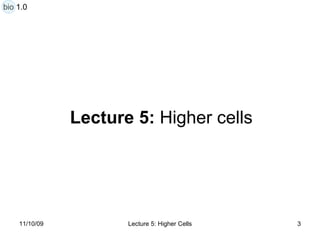 Lecture 5:  Higher cells bio 1.0 