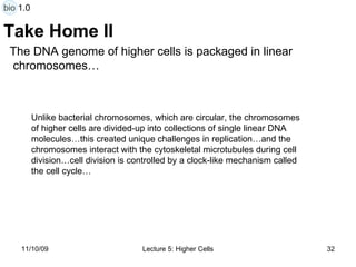 Take Home II Unlike bacterial chromosomes, which are circular, the chromosomes of higher cells are divided-up into collections of single linear DNA molecules…this created unique challenges in replication…and the chromosomes interact with the cytoskeletal microtubules during cell division…cell division is controlled by a clock-like mechanism called the cell cycle… The DNA genome of higher cells is packaged in linear  chromosomes… bio 1.0 