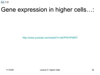 Gene expression in higher cells…: http:// www.youtube.com/watch?v =bk7PW1FKMTI bio 1.0 