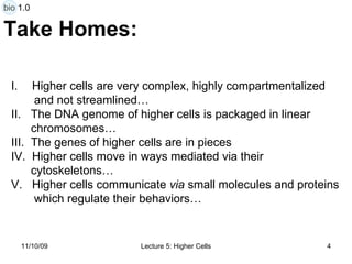 Take Homes: Higher cells are very complex, highly compartmentalized  and not streamlined… II.  The DNA genome of higher cells is packaged in linear  chromosomes… III.  The genes of higher cells are in pieces  IV.  Higher cells move in ways mediated via their  cytoskeletons… V.  Higher cells communicate  via  small molecules and proteins  which regulate their behaviors… bio 1.0 
