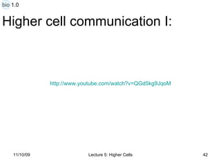 Higher cell communication I: http:// www.youtube.com/watch?v =QGd5kg9JqoM bio 1.0 