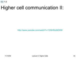 Higher cell communication II: http:// www.youtube.com/watch?v =12QHDoSiEWM bio 1.0 