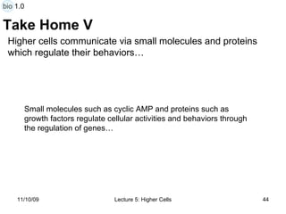 Take Home V Small molecules such as cyclic AMP and proteins such as growth factors regulate cellular activities and behaviors through the regulation of genes… Higher cells communicate via small molecules and proteins  which regulate their behaviors… bio 1.0 