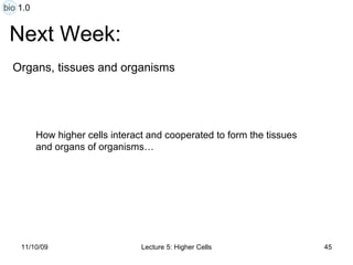 Next Week: Organs, tissues and organisms How higher cells interact and cooperated to form the tissues and organs of organisms… bio 1.0 