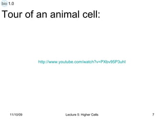 Tour of an animal cell: http:// www.youtube.com/watch?v =PXbv95P3uhI bio 1.0 