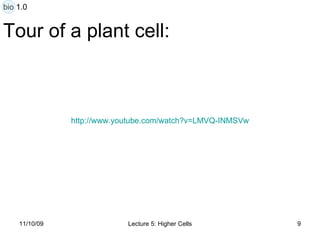 Tour of a plant cell: http:// www.youtube.com/watch?v =LMVQ- INMSVw bio 1.0 