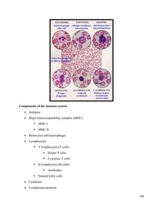 Pathology - immune system | PDF