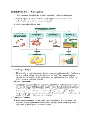 Pathology - immune system | PDF