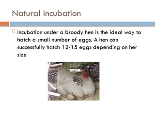 Lecture 5 Incubation Requirements - Copy.pptx