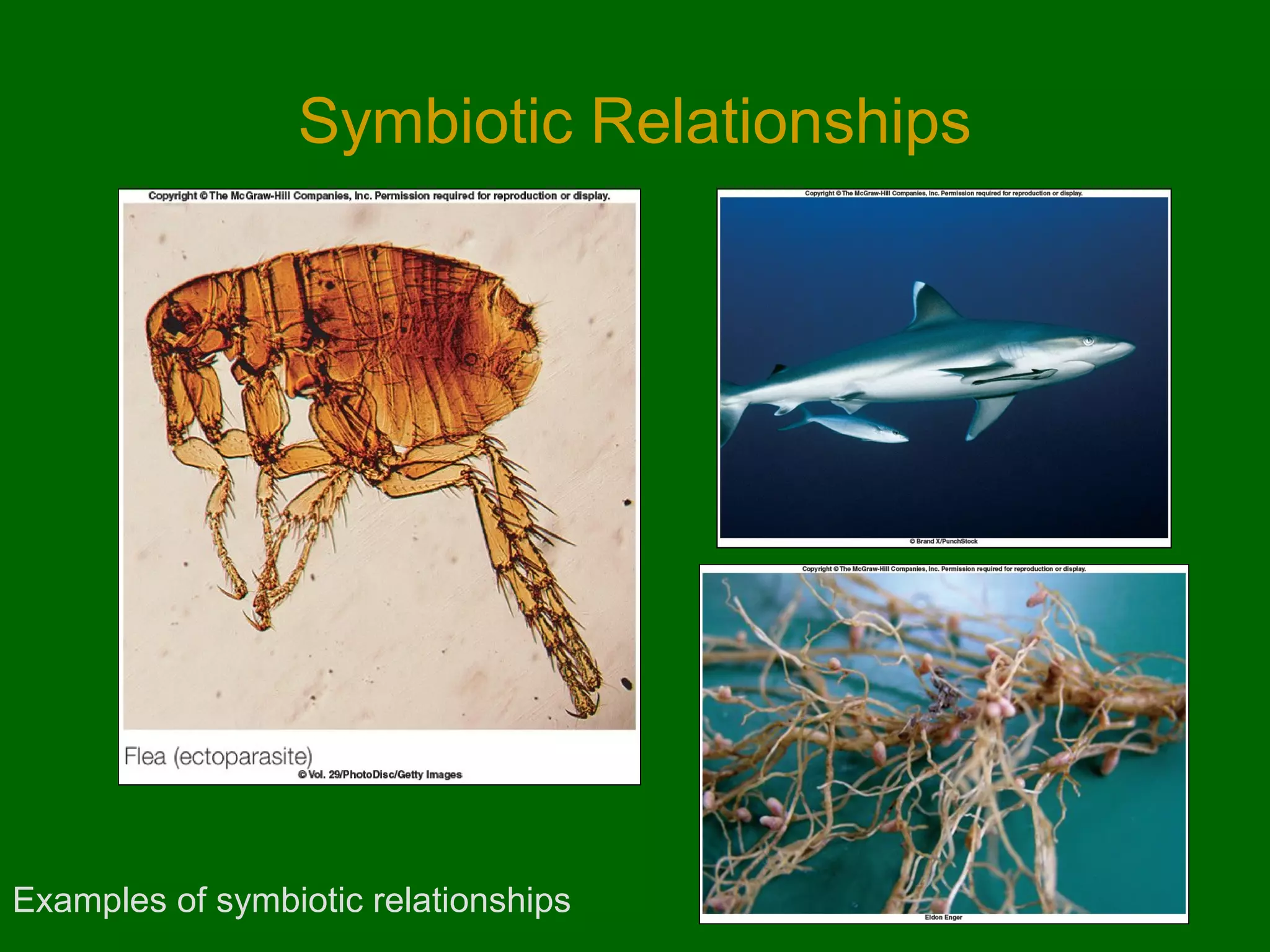 Symbiotic Relationships




Examples of symbiotic relationships
 