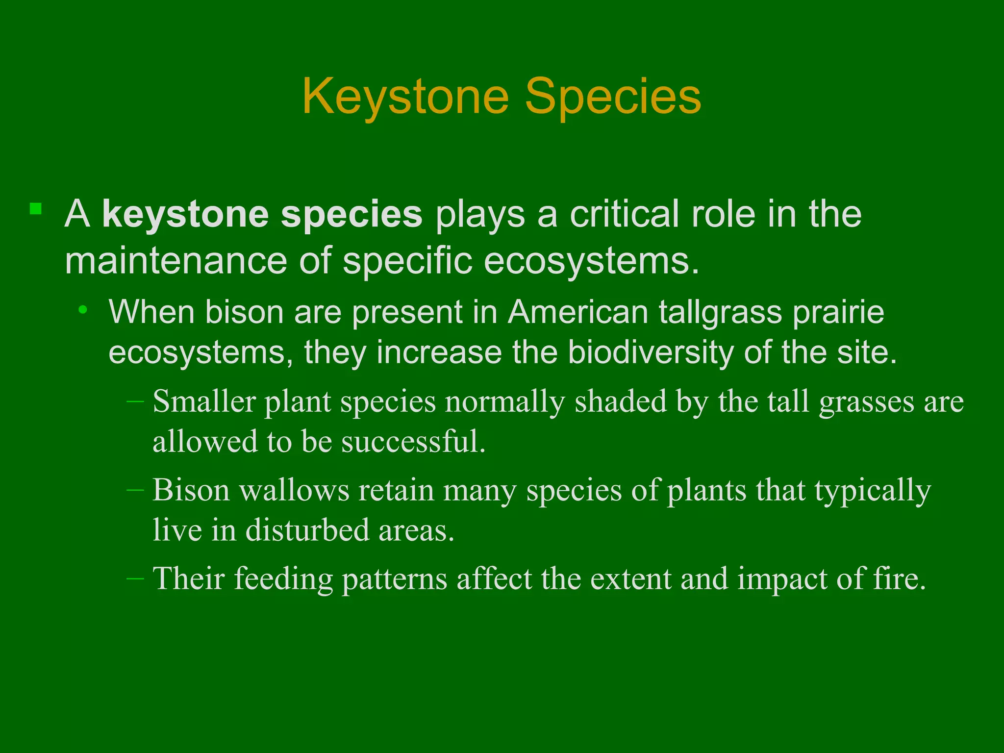 Keystone Species

 A keystone species plays a critical role in the
  maintenance of specific ecosystems.
  • When bison are present in American tallgrass prairie
    ecosystems, they increase the biodiversity of the site.
     – Smaller plant species normally shaded by the tall grasses are
       allowed to be successful.
     – Bison wallows retain many species of plants that typically
       live in disturbed areas.
     – Their feeding patterns affect the extent and impact of fire.
 