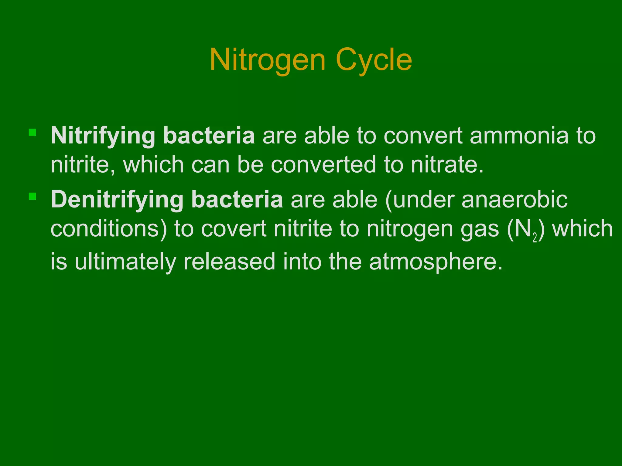 Nitrogen Cycle

 Nitrifying bacteria are able to convert ammonia to
  nitrite, which can be converted to nitrate.
 Denitrifying bacteria are able (under anaerobic
  conditions) to covert nitrite to nitrogen gas (N2) which
  is ultimately released into the atmosphere.
 