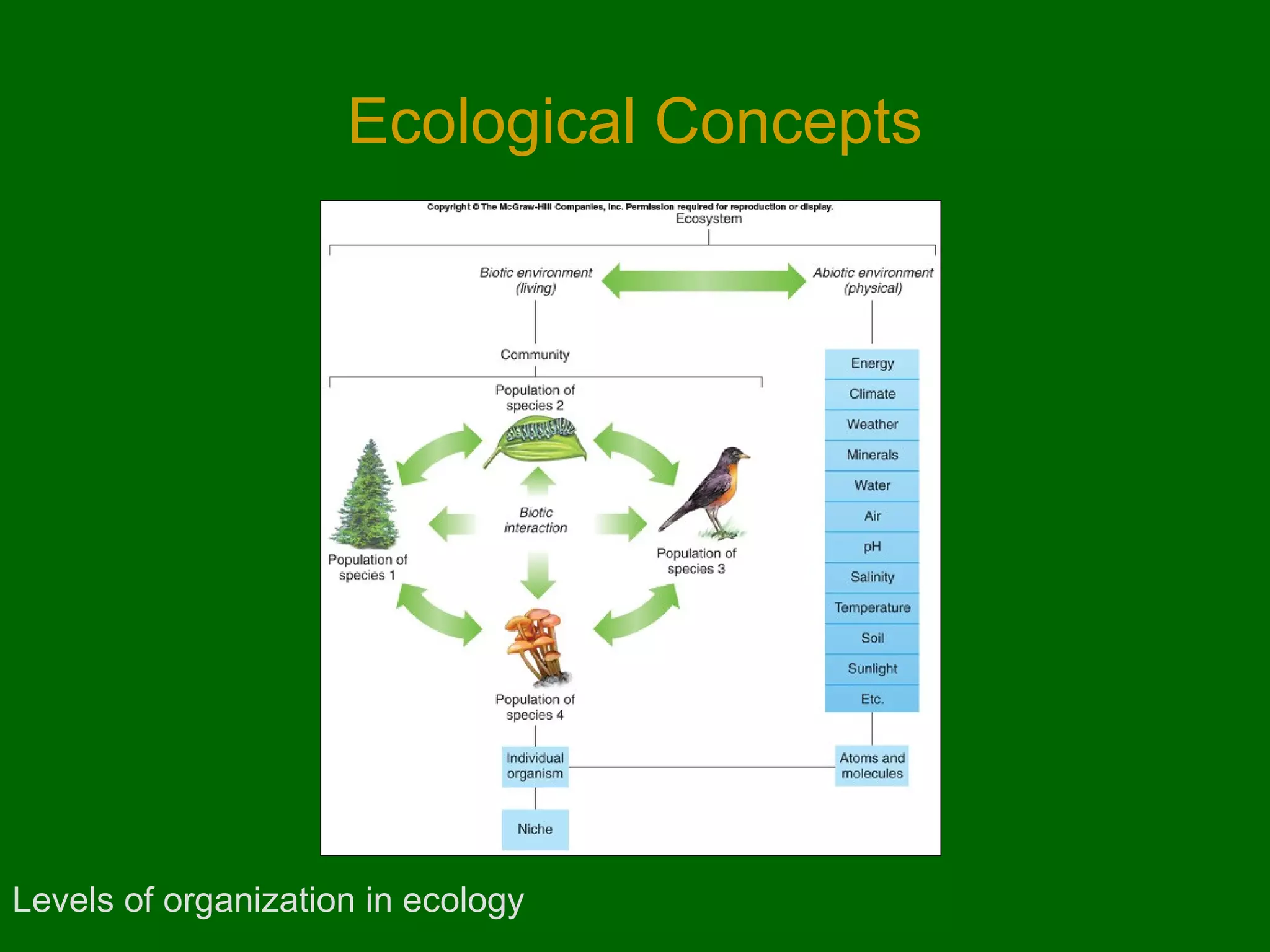 Ecological Concepts




Levels of organization in ecology
 