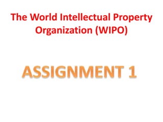 The World Intellectual Property
Organization (WIPO)
 