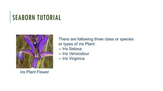 Comprehensive Seaborn Tutorial for Data Visualization in Machine ...