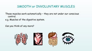 Lecture 5 Muscular system of human body.pptx