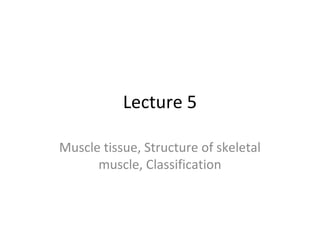 Lecture 5
Muscle tissue, Structure of skeletal
muscle, Classification

 