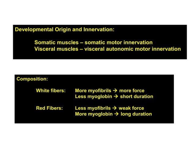 Myology: The Study of Muscles (Anatomy: 1st Semester Lecture 5) | PPT ...