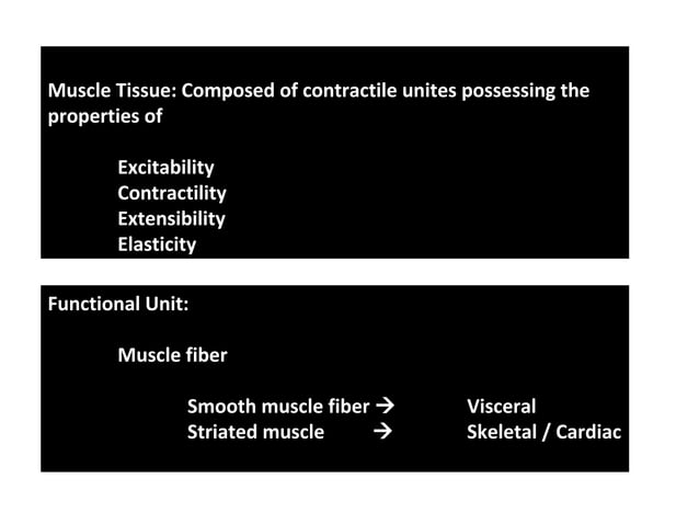 Myology: The Study of Muscles (Anatomy: 1st Semester Lecture 5) | PPT ...