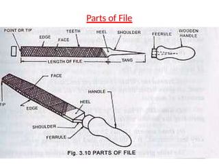 Parts of File
 