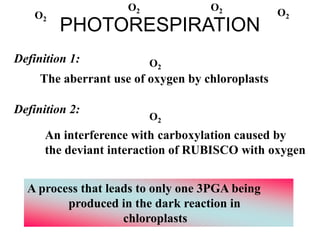 PHOTORESPIRATION
Definition 1:
An interference with carboxylation caused by
the deviant interaction of RUBISCO with oxygen
The aberrant use of oxygen by chloroplasts
A process that leads to only one 3PGA being
produced in the dark reaction in
chloroplasts
Definition 2:
O2
O2
O2 O2
O2
O2
 