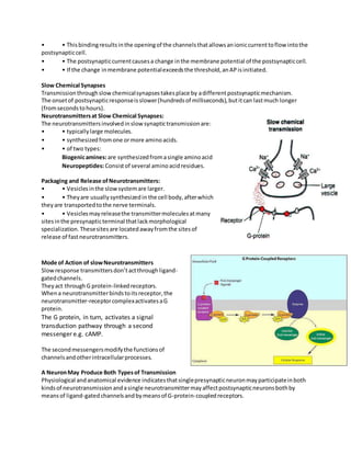 • • Thisbindingresultsinthe openingof the channelsthatallowsanioniccurrenttoflow intothe
postsynapticcell.
• • The postsynapticcurrentcausesa change inthe membrane potential of the postsynapticcell.
• • If the change inmembrane potentialexceedsthe threshold,anAPisinitiated.
Slow Chemical Synapses
Transmissionthroughslowchemicalsynapsestakesplace by adifferentpostsynapticmechanism.
The onsetof postsynapticresponseisslower(hundredsof milliseconds),butitcan lastmuch longer
(fromsecondstohours).
Neurotransmittersat Slow Chemical Synapses:
The neurotransmittersinvolvedinslow synaptictransmissionare:
• • typicallylarge molecules.
• • synthesizedfromone ormore aminoacids.
• • of two types:
Biogenicamines:are synthesizedfromasingle aminoacid
Neuropeptides:Consistof several aminoacidresidues.
Packaging and Release ofNeurotransmitters:
• • Vesiclesinthe slowsystemare larger.
• • Theyare usuallysynthesizedin the cell body,afterwhich
they are transportedtothe nerve terminals.
• • Vesiclesmayreleasethe transmittermoleculesatmany
sitesinthe presynapticterminal thatlackmorphological
specialization.Thesesitesare locatedawayfromthe sitesof
release of fastneurotransmitters.
Mode of Action of slowNeurotransmitters
Slowresponse transmittersdon’tactthroughligand-
gatedchannels.
Theyact throughG protein-linkedreceptors.
Whena neurotransmitterbindstoitsreceptor,the
neurotransmitter-receptorcomplexactivatesaG
protein.
The G protein, in turn, activates a signal
transduction pathway through a second
messenger e.g. cAMP.
The secondmessengersmodifythe functionsof
channelsandotherintracellularprocesses.
A NeuronMay Produce Both Typesof Transmission
Physiological andanatomical evidence indicatesthatsinglepresynapticneuronmayparticipateinboth
kindsof neurotransmissionandasingle neurotransmittermayaffectpostsynapticneuronsbothby
meansof ligand-gatedchannelsandbymeansof G-protein-coupledreceptors.
 