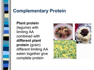Lecture5 proteins complete | PPT | Nutrition | Healthy Living