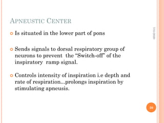 Respiratory Ramp lecture 5 respiratory physiology.pdf for education | PDF