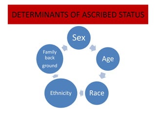 Social status and role | PPTX