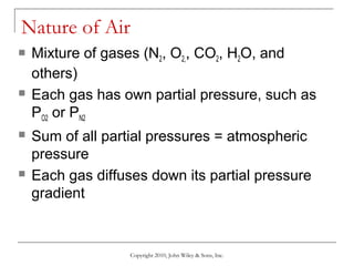 Lecture 5 the respiratory system | PPT