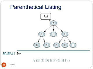 Parenthetical Listing
Trees20
A (B (C D) E F (G H I) )
 