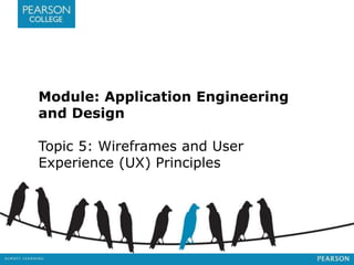 Module: Application Engineering 
and Design 
Topic 5: Wireframes and User 
Experience (UX) Principles 
 