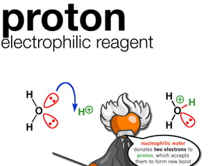 proton
electrophilic reagent

   H                          H
                                        H
       O   H                      O
   H                          H
                     nucleophilic water
                  donates two electrons to
                    proton, which accepts
                   them to form new bond
 