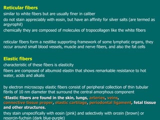 Reticular fibers  similar to white fibers  but  are usually finer in caliber do not stain appreciably with eosin, but have an affinity for silver salts  ( are termed as argyrophil ) c hemically they are composed of molecules of tropocollagen like the white fibers r eticular fibers form a nestlike supporting framework of some lymphatic organs, they occur around small blood vessels, muscle and nerve fibers, and also the fat cells Elastic fibers  characteristic of these fibers is elasticity f ibers are composed of albumoid elastin  that  shows remarkable resistance to hot water, acids and alkalis b y electron microscopy elastic fibers consist of peripheral collection of thin tubular fibrils of 10 nm diameter  that surround the  central amorphous component Elastic fibers are found in the skin, lungs,  arteries ,  veins ,  connective tissue proper ,  elastic cartilage ,  periodontal ligament , fetal tissue and other structures. they  stain  unspecifically  with eosin (pink)  and  selectively with orcein (brown) or resorcin-fuchsin (dark blue-purple) 