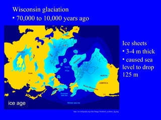 ice age http://en.wikipedia.org/wiki/Image:Northern_icesheet_hg.png Wisconsin glaciation 70,000 to 10,000 years ago Ice sheets 3-4 m thick caused sea level to drop 125 m 