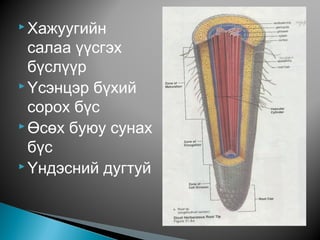Lecture6 | PPT