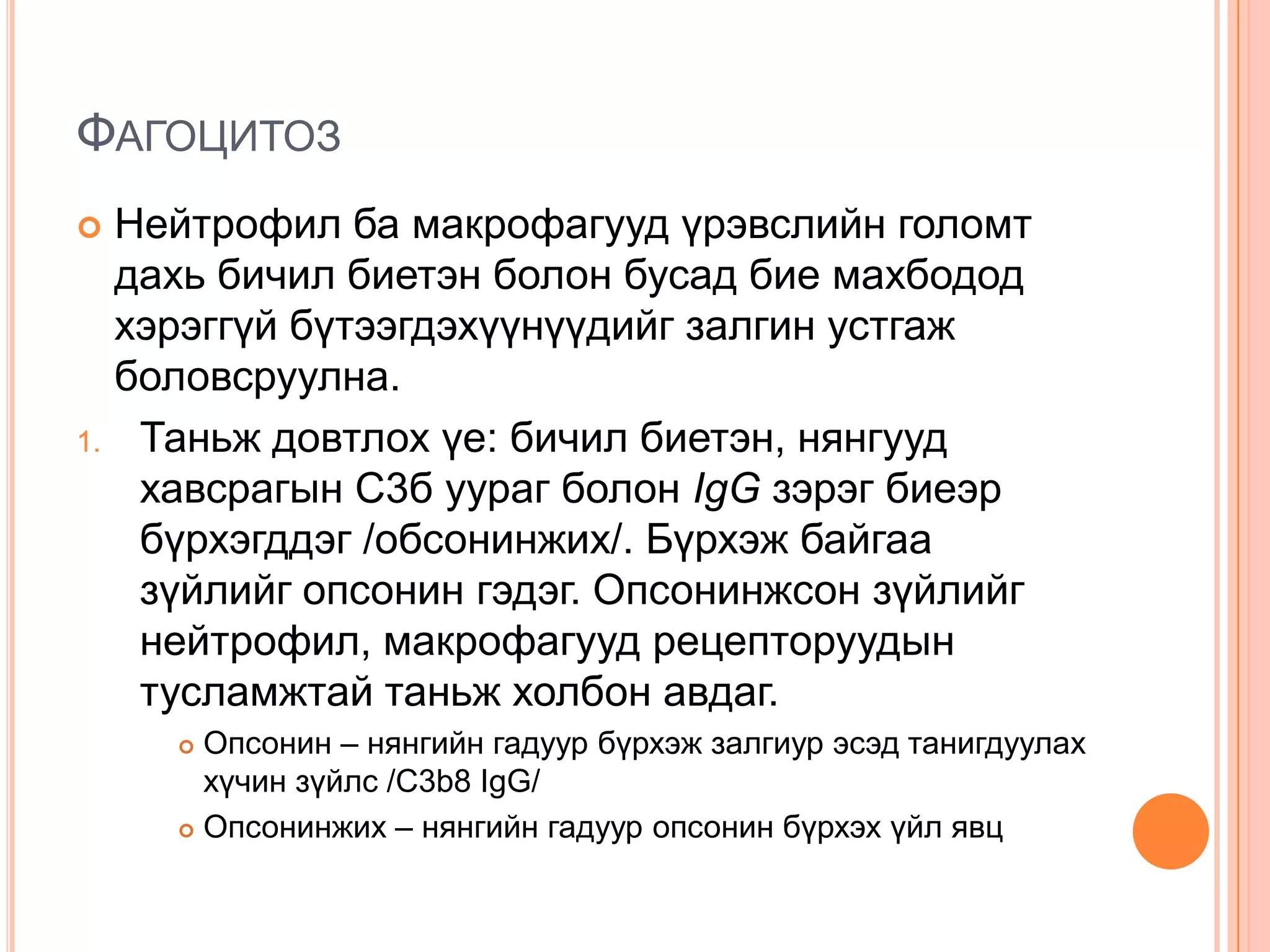 ФАГОЦИТОЗ


1.

Нейтрофил ба макрофагууд үрэвслийн голомт
дахь бичил биетэн болон бусад бие махбодод
хэрэггүй бүтээгдэхүүнүүдийг залгин устгаж
боловсруулна.
Таньж довтлох үе: бичил биетэн, нянгууд
хавсрагын С3б уураг болон IgG зэрэг биеэр
бүрхэгддэг /обсонинжих/. Бүрхэж байгаа
зүйлийг опсонин гэдэг. Опсонинжсон зүйлийг
нейтрофил, макрофагууд рецепторуудын
тусламжтай таньж холбон авдаг.
Опсонин – нянгийн гадуур бүрхэж залгиур эсэд танигдуулах
хүчин зүйлс /С3b8 IgG/
 Опсонинжих – нянгийн гадуур опсонин бүрхэх үйл явц


 