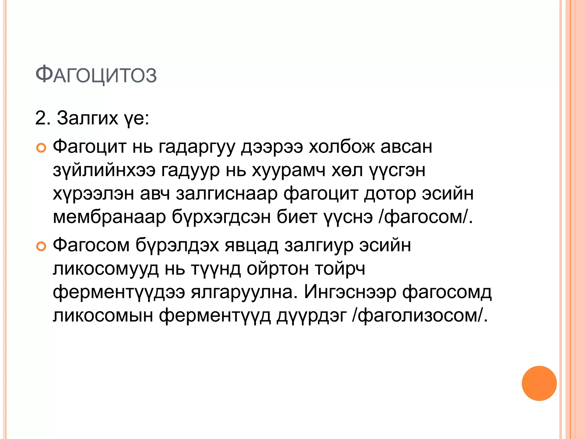 ФАГОЦИТОЗ
2. Залгих үе:
 Фагоцит нь гадаргуу дээрээ холбож авсан
зүйлийнхээ гадуур нь хуурамч хөл үүсгэн
хүрээлэн авч залгиснаар фагоцит дотор эсийн
мембранаар бүрхэгдсэн биет үүснэ /фагосом/.
 Фагосом бүрэлдэх явцад залгиур эсийн
ликосомууд нь түүнд ойртон тойрч
ферментүүдээ ялгаруулна. Ингэснээр фагосомд
ликосомын ферментүүд дүүрдэг /фаголизосом/.

 