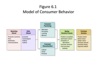 Figure 6.1
Model of Consumer Behavior
 