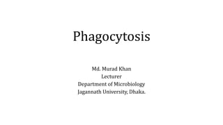 Phagocytosis
Md. Murad Khan
Lecturer
Department of Microbiology
Jagannath University, Dhaka.
 
