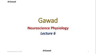 Gawad
Neuroscience Physiology
Lecture 6
Saturday, November 10, 2018 1
 