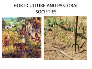 HORTICULTURE AND PASTORAL
SOCIETIES
 