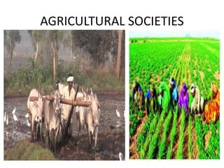 AGRICULTURAL SOCIETIES
 